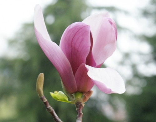 ��������ײ���,�����д���Ǻ�ҽԺ